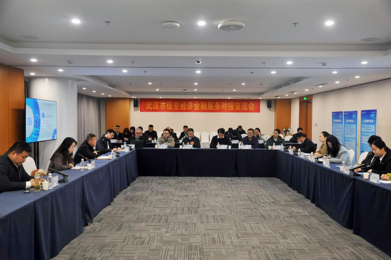 长江财险成功举办武汉市低空经济金融服务对接交流会